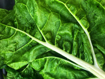 Eating the rainbow - what are the benefits of green plant foods? - Eimele