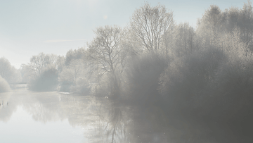 How to prepare your health for Winter! - Eimele