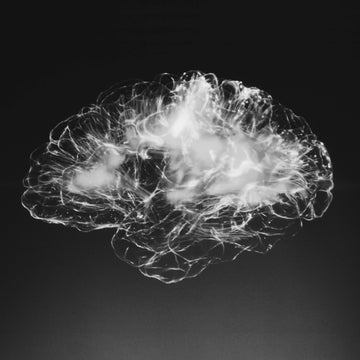 Omega-3 is the key to unlocking better memory, focus, and brain health - Eimele