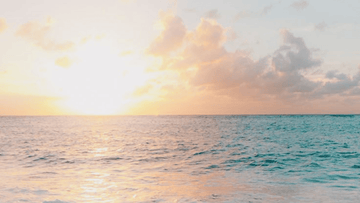 What type of Vitamin D should vegans supplement with? - Eimele