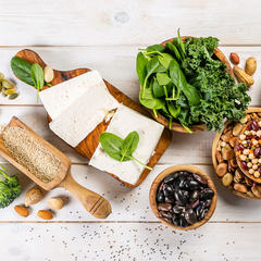 PLANT PROTEIN